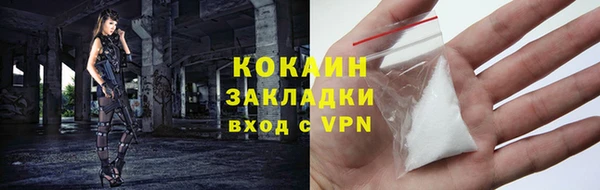 дживик Володарск